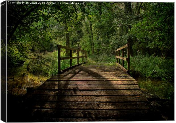  Bridge Over The Woodland River Canvas Print by Ian Lewis