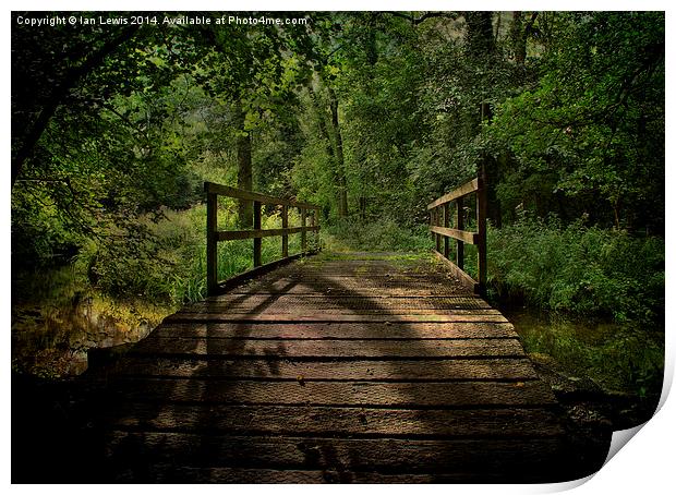  Bridge Over The Woodland River Print by Ian Lewis