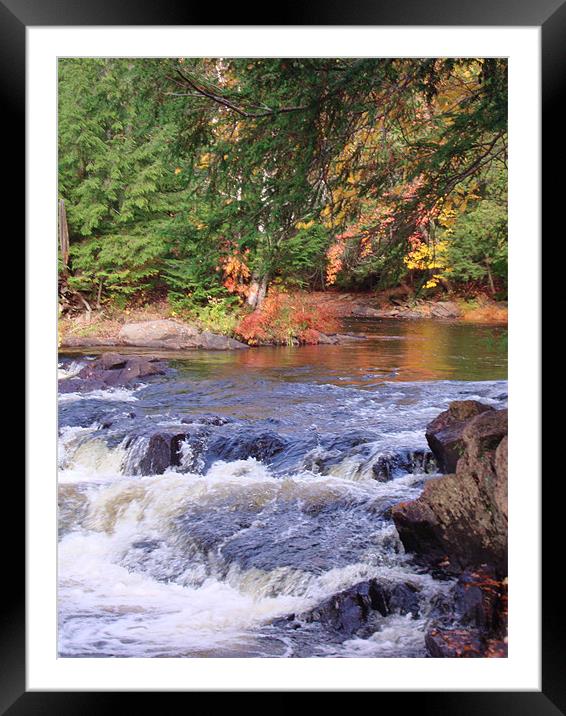 Autumn Glory at Oxtongue River Rapids Framed Mounted Print by Donna-Marie Parsons