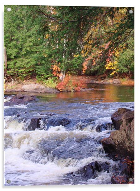 Autumn Glory at Oxtongue River Rapids Acrylic by Donna-Marie Parsons