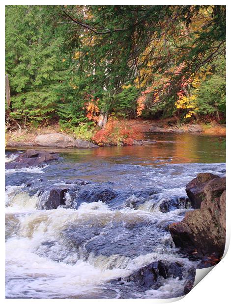 Autumn Glory at Oxtongue River Rapids Print by Donna-Marie Parsons