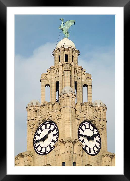  Liver Bird Building Framed Mounted Print by Gregory Lawson
