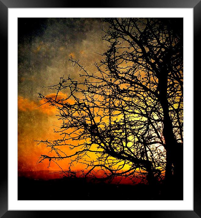  day's end Framed Mounted Print by dale rys (LP)