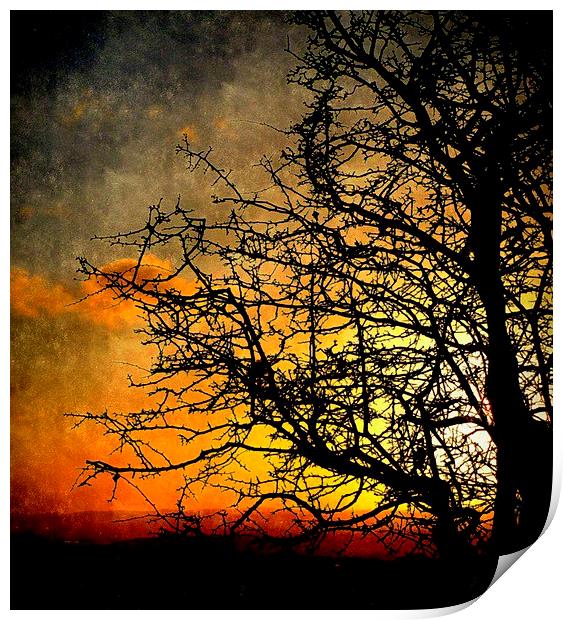  day's end Print by dale rys (LP)