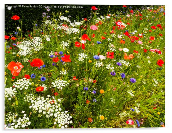  English Wildflower Meadow Acrylic by Peter Jordan