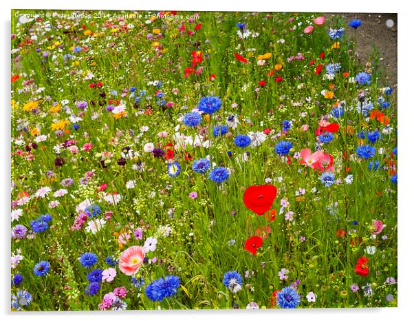  English Wildflower Meadow Acrylic by Peter Jordan