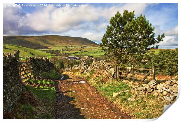  Country View Of Pendle Hill Print by Gary Kenyon