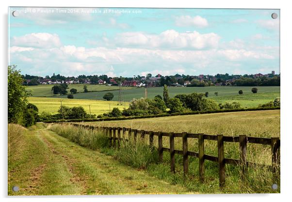 The View from Epping Upland to Epping Essex UK Acrylic by Pauline Tims