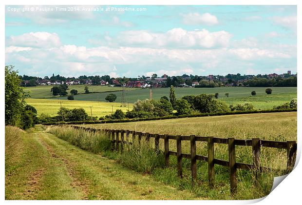 The View from Epping Upland to Epping Essex UK Print by Pauline Tims