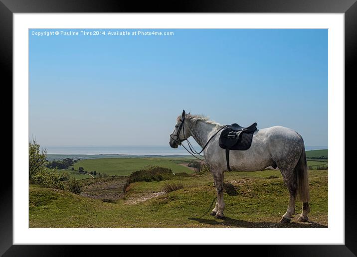 May  Sunday morning at Portesham , Dorset, UK Framed Mounted Print by Pauline Tims