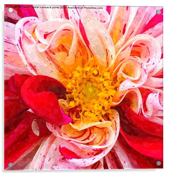  Dahlia flower Acrylic by Paula Palmer canvas