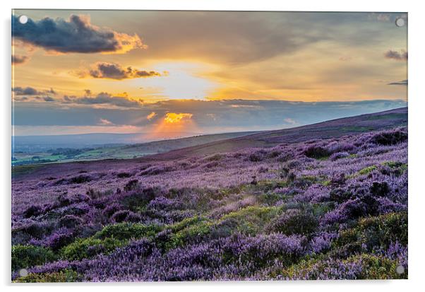 Purple Heather Sunset looking across to Manchester Acrylic by Phil Tinkler