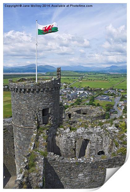 Harlech Castle Tower Print by Jane McIlroy