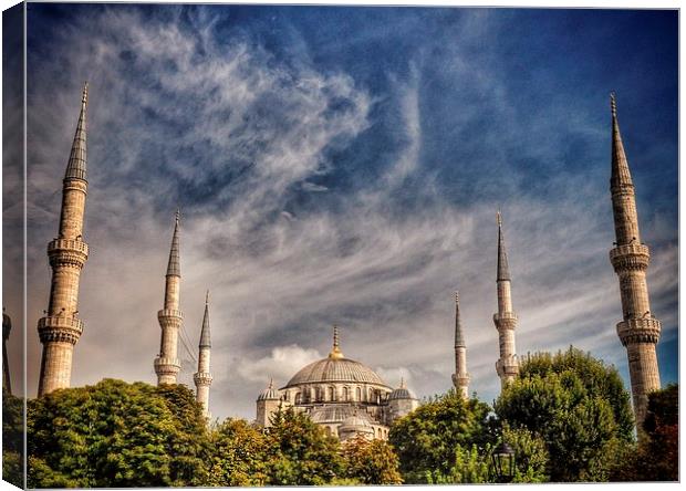  Blue Mosque Istanbul Canvas Print by Scott Anderson