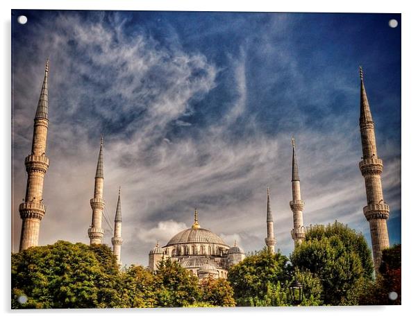  Blue Mosque Istanbul Acrylic by Scott Anderson