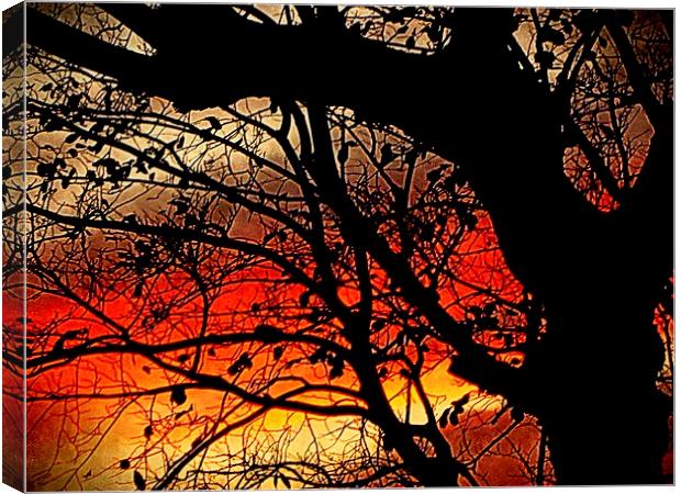  day's end     Canvas Print by dale rys (LP)