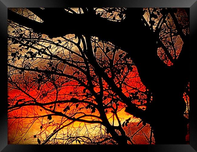  day's end     Framed Print by dale rys (LP)