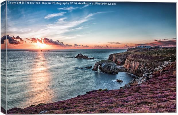 Last Light At lands End Canvas Print by Tracey Yeo