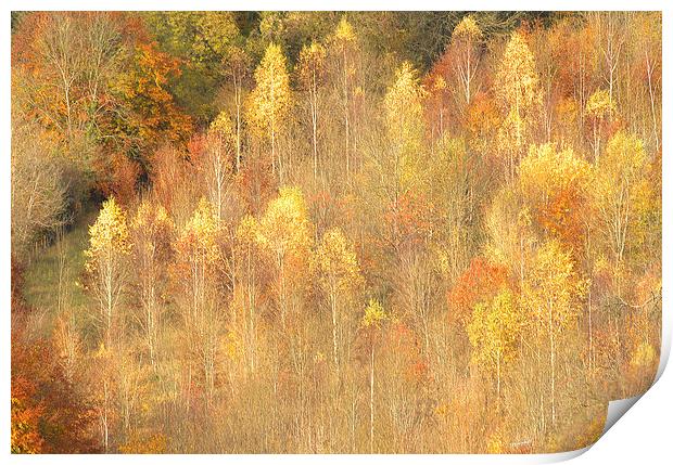  Golden Time Autumn Print by Clive Eariss
