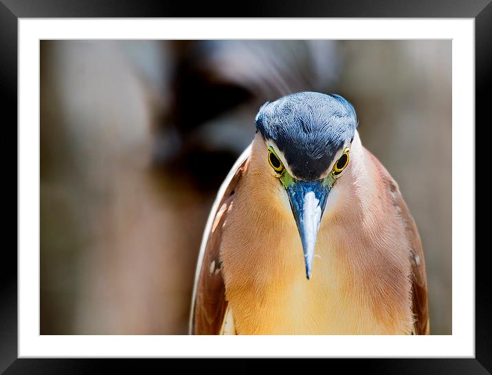  Look into my eyes! You are feeling sleepy Framed Mounted Print by James Bennett (MBK W