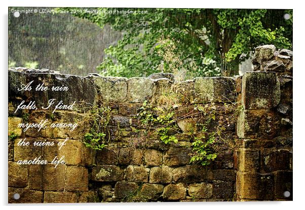  As The Rain Falls Acrylic by LIZ Alderdice