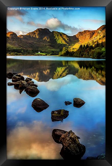 Crafnant Lake Wales Framed Print by Adrian Evans