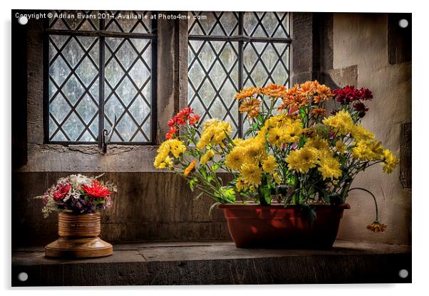 Flower Display Acrylic by Adrian Evans