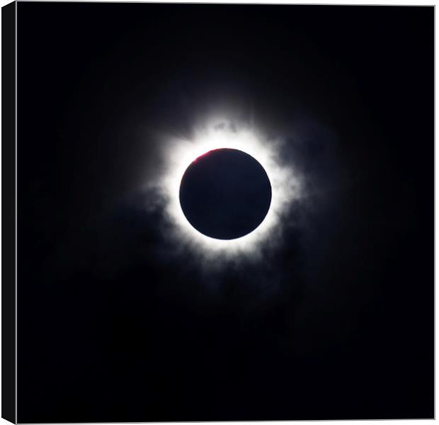 Totality Canvas Print by Peta Thames