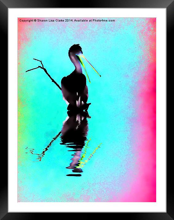  Neon Pelican Framed Mounted Print by Sharon Lisa Clarke