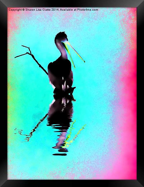  Neon Pelican Framed Print by Sharon Lisa Clarke