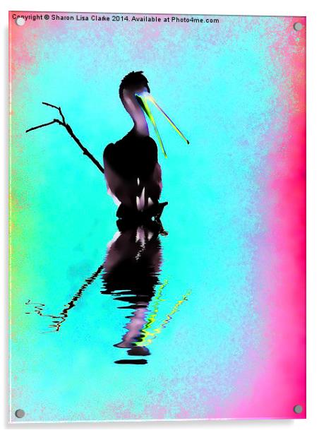  Neon Pelican Acrylic by Sharon Lisa Clarke