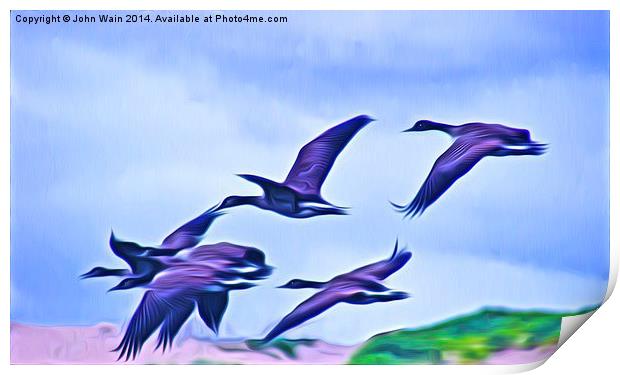 Geese in  flight Print by John Wain
