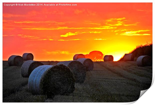 Sunset in Rural Louth Print by Nick Wardekker