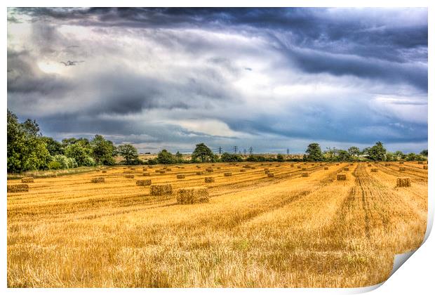 The Farm Vista Print by David Pyatt