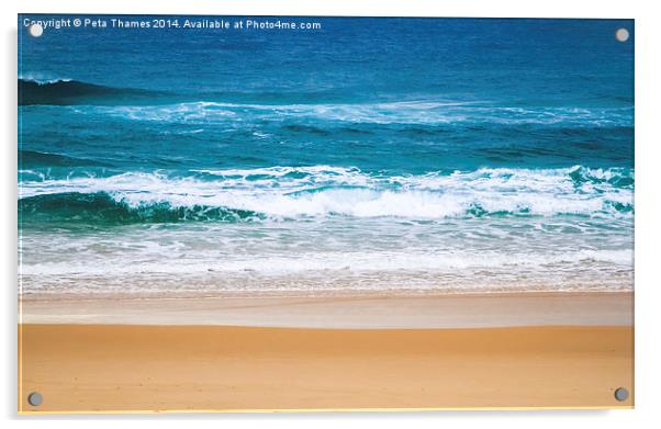 Dive In at Salt Beach Acrylic by Peta Thames