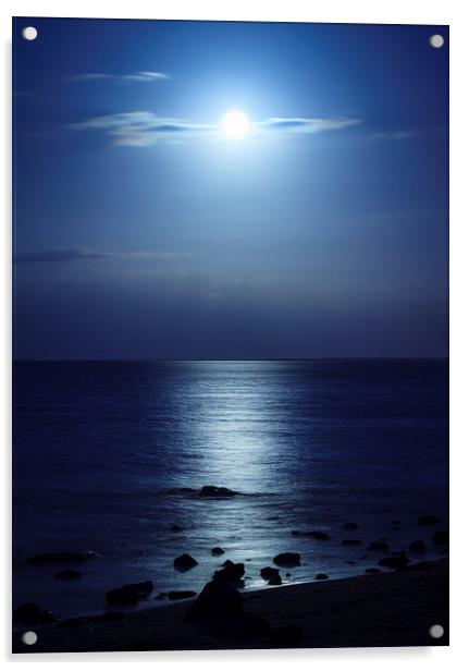 Blue Moon over Bramble Bay Acrylic by Peta Thames