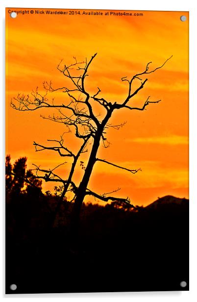  Cumbrian Sunset Acrylic by Nick Wardekker