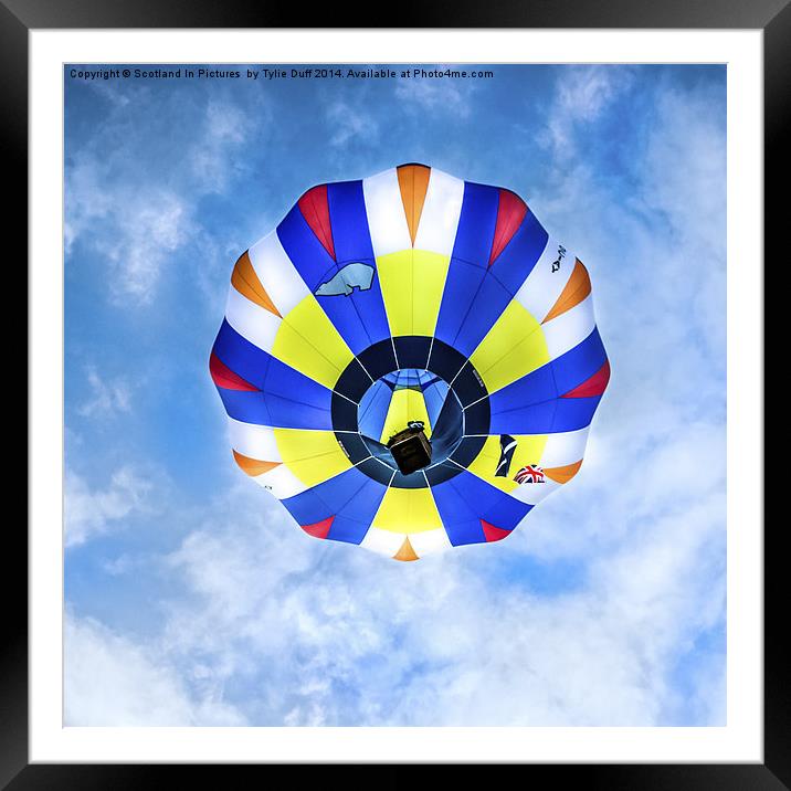  Strathaven Hot Air Balloon Festival  Framed Mounted Print by Tylie Duff Photo Art