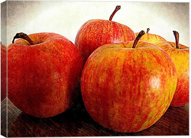  apples Canvas Print by dale rys (LP)