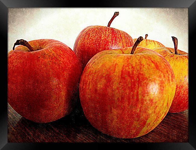  apples Framed Print by dale rys (LP)