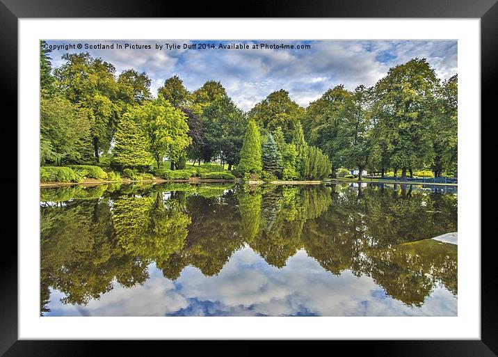  Reflections on a Summer Day Framed Mounted Print by Tylie Duff Photo Art