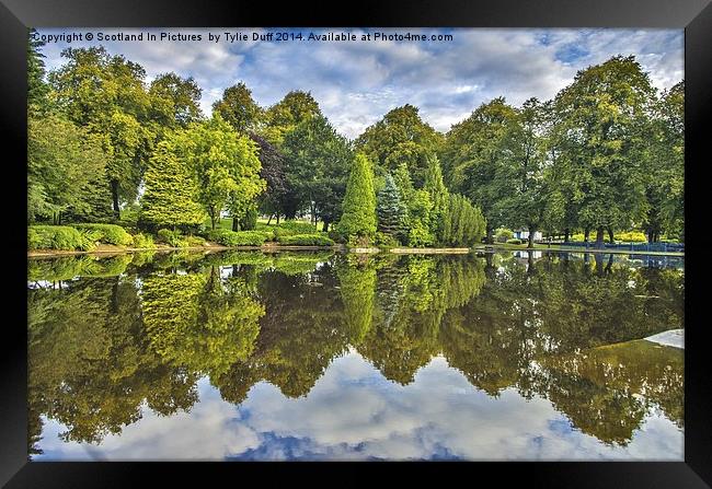  Reflections on a Summer Day Framed Print by Tylie Duff Photo Art