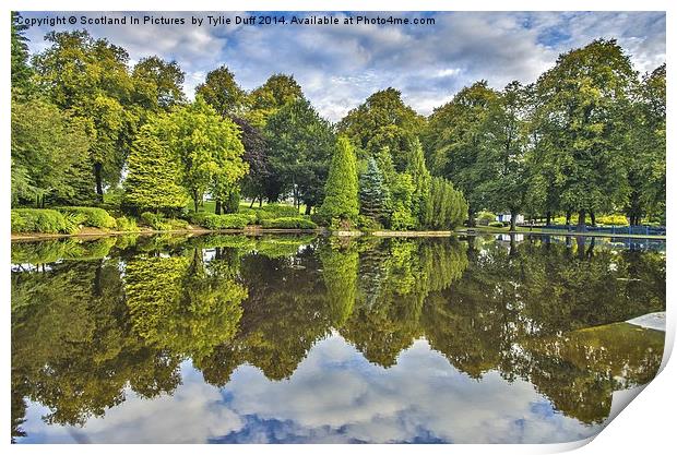  Reflections on a Summer Day Print by Tylie Duff Photo Art