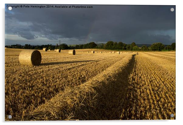  Straw bales and sunlight Acrylic by Pete Hemington