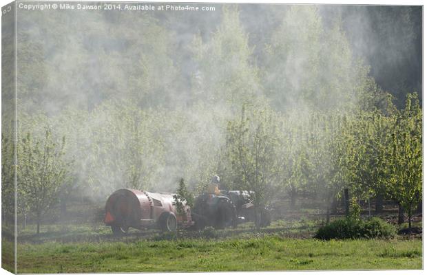 Spraying the Orchard Canvas Print by Mike Dawson