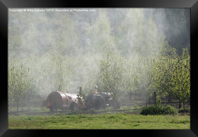 Spraying the Orchard Framed Print by Mike Dawson