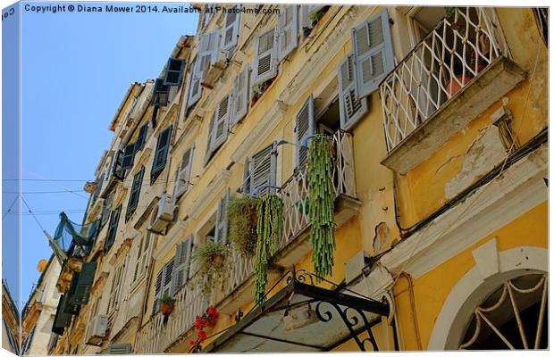 Corfu old Town  Canvas Print by Diana Mower