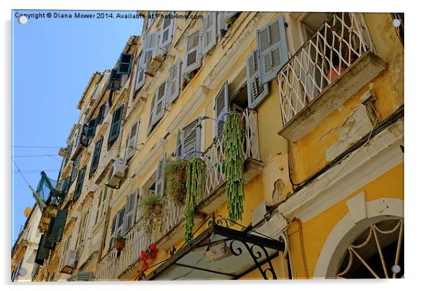 Corfu old Town  Acrylic by Diana Mower