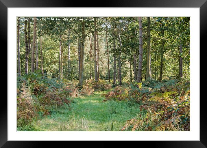  Woodland View Framed Mounted Print by Tina Fry