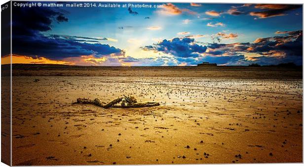  Remnants on the Beach at Sunset Canvas Print by matthew  mallett